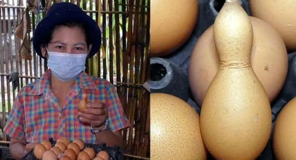 母鸡产下一只葫芦形状鸡蛋，还吸引人来购买，女子将其当神蛋供奉