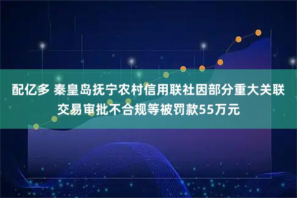 配亿多 秦皇岛抚宁农村信用联社因部分重大关联交易审批不合规等被罚款55万元